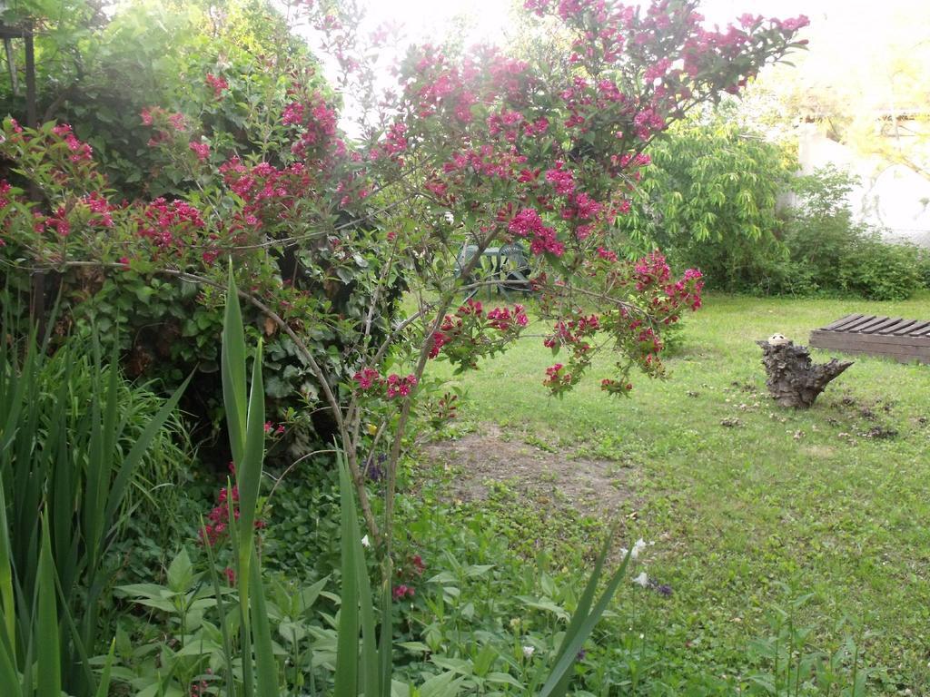 Kerekparos Es Zarandok Vendeghaz Villa Apostag Kamer foto